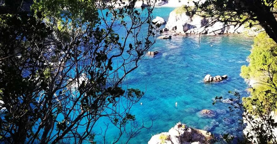 Corfu: Hiking in Olive Groves,Village,Sunset,with Swim Stop - Key points to know before you book
