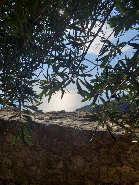 Corfu: Hiking in Olive Groves,Village,Sunset,with Swim Stop - The coastal path to Rovinia