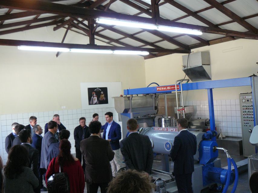 Corfu: Olive Oil Experience - The Governor's Olive Mill - Why Corfu olive oil deserves your attention