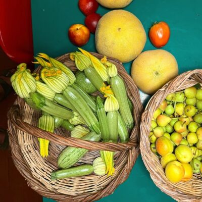 Organic Olive Oil Farm Tour with Transfer and Tasting