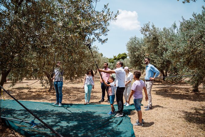 Corinth & Olive Oil Tasting Private Tour from Athens - From Athens to the Corinth Canal
