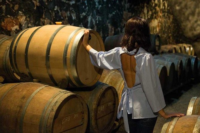 Cretan Delights - Wine, Olive Oil & Cooking Workshop from Chania - A food-first way to see Apokoronas