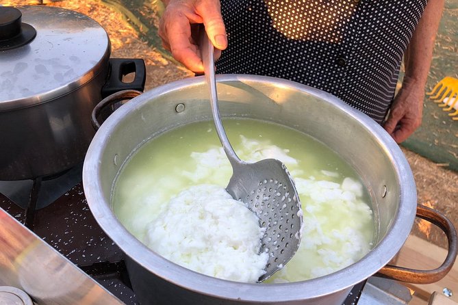 Cretan Farm Tour with Cheese-Making, Olive Oil Tasting & Picnic - Walking through the olive groves and greenhouses