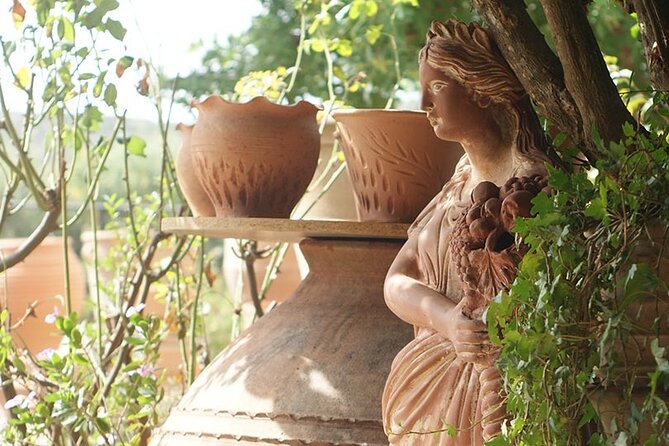 Cretan Wines & Olive oil tour - The treasures of Crete - Stironas: raki, the cellar, and lunch at a traditional distillery