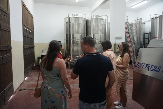 Cretan Wines & Olive oil tour - The treasures of Crete - Who should book this experience?