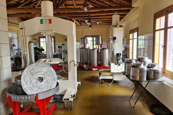 Crete Discovery Palace of Knossos, Wine and Olive Oil Experience - Booking details worth knowing