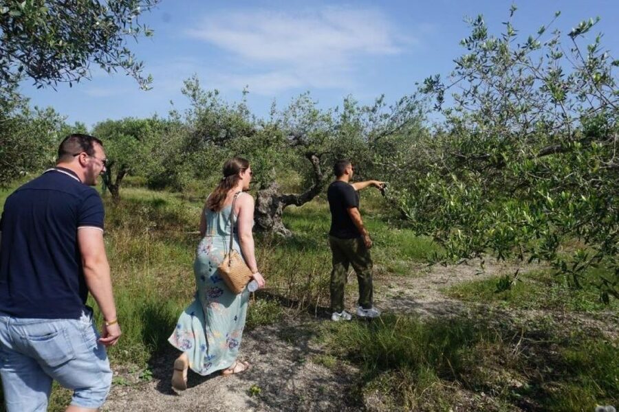 Crete: Full-Day Cretan Wines, Olive Oil, Raki and Food Tour - What the van ride and timing are really like