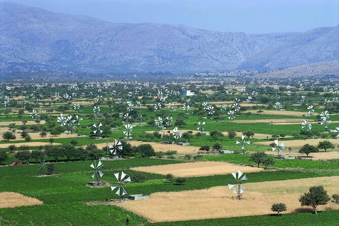 Crete in a Day: Knossos, Soap Workshops, Olive Oil & Wine Tasting - What the extra Knossos guide fee means
