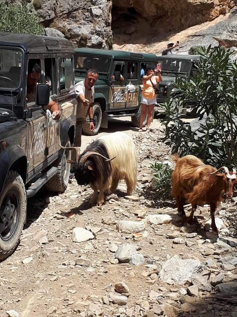 Crete: Jeep Safari Wine & Olive Oil testing Shepherd's House - Kato Karouzana and the shepherd’s house