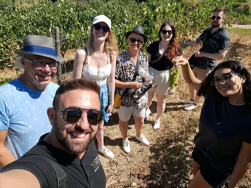 Crete: Knossos Palace, Winery & Olive Oil Tour with Lunch - A village lunch with wine and raki