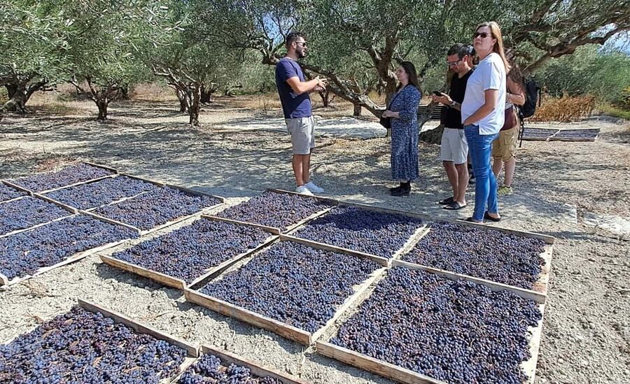 Crete: Knossos Palace, Winery & Olive Oil Tour with Lunch - FAQ