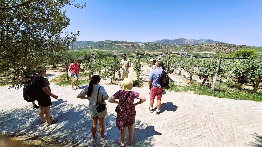 Crete: Knossos Palace, Winery & Olive Oil Tour with Lunch - Starting at Knossos and the Minotaur’s Labyrinth