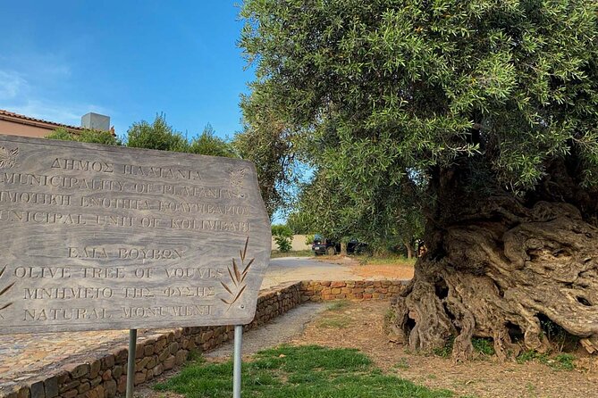 Crete: Local Wine Tasting & Visit to the Ancient Olive Tree - Who will enjoy this Chania outing?