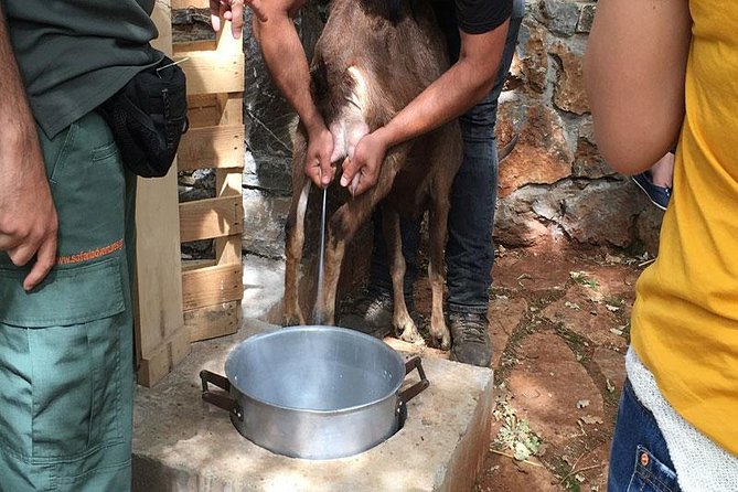 Crete Off-Road & Flavors Safari: Wine, Olive Oil & Mountain Life - Practical details that affect your choice