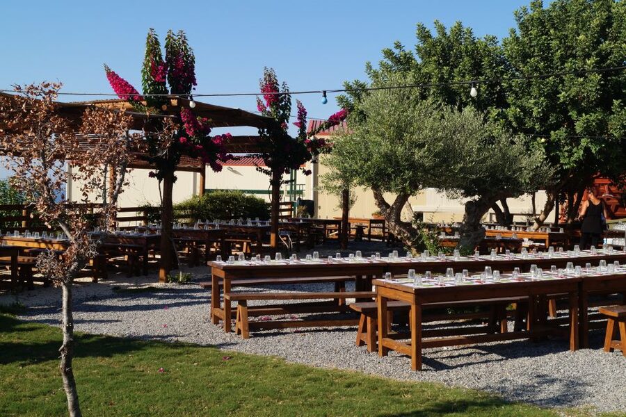Crete: Olive Oil Factory Tour, Dinner & Traditional Dancing - A buffet dinner with local wine and water