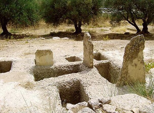Crete: Olive Oil, Soap, Wine, Raki - Flavorful Culinary Journey - Key points at a glance