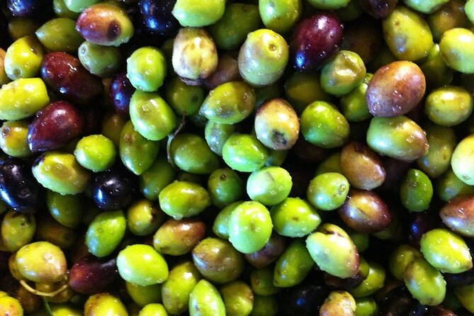 Crete: Olive Oil, Soap, Wine, Raki - Flavorful Culinary Journey - Raki, the drink that turns a visit into a welcome