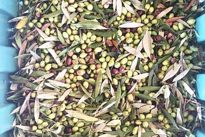 Crete: Olive Oil, Soap, Wine, Raki - Flavorful Culinary Journey - Soap made from the same olive oil tradition