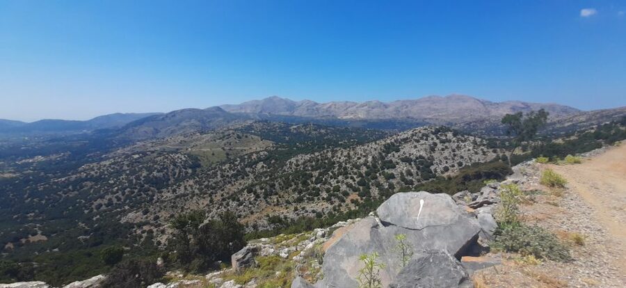 Crete: Olive, Wine, & Raki on a Flavorful Culinary Journey - Who will enjoy this most