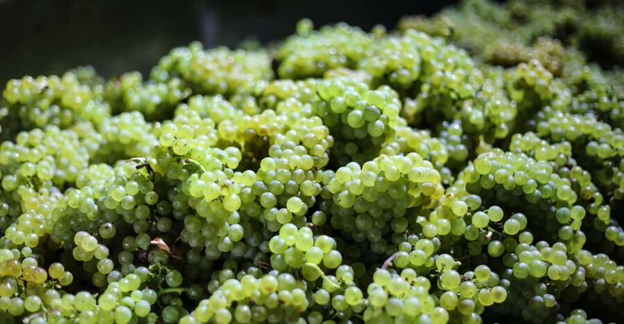 Crete: Olive, Wine, & Raki on a Flavorful Culinary Journey - Archanes: a final village stop