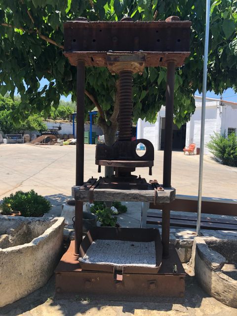 Crete Private Tour: The Secrets of Wine, Olives & Honey - Apithano Honey Museum and the role of bees