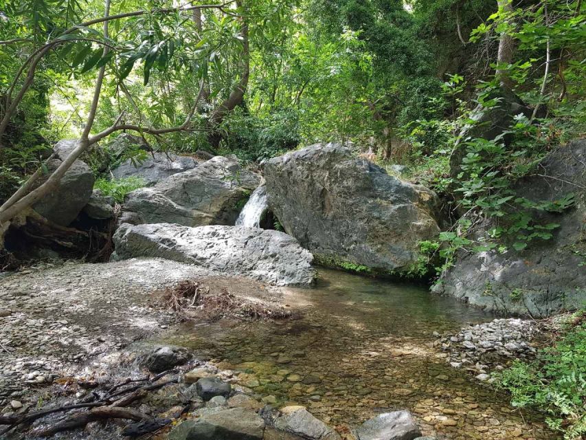 Crete: Richtis Waterfall Full-Day Tour with Olive Tasting - Is $115 a fair price?