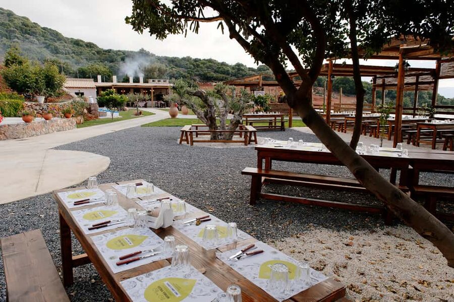 Crete: Road-trip to Lasithi, Zeus Cave & Olive Mill Farm - Should you book it?