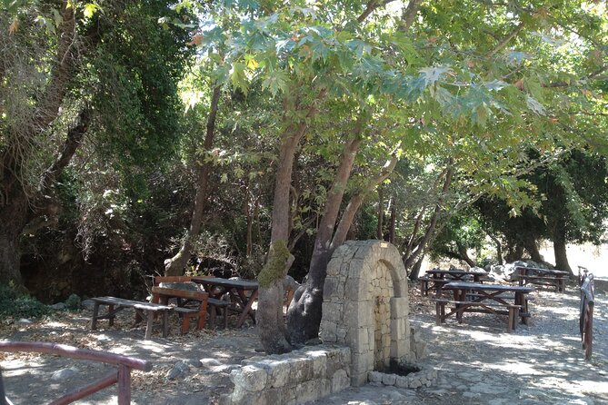Crete's Wine and Olives Safari Tour from Chania - A Cretan vineyard and six wines