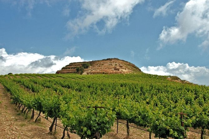 Crete Wine and Olive Oil Tour - Key points before you book