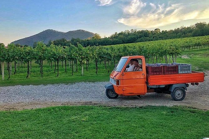DA Abano and Montegrotto: Oil and Wine Tour of the Euganean Hills - Who will enjoy this half-day outing most?