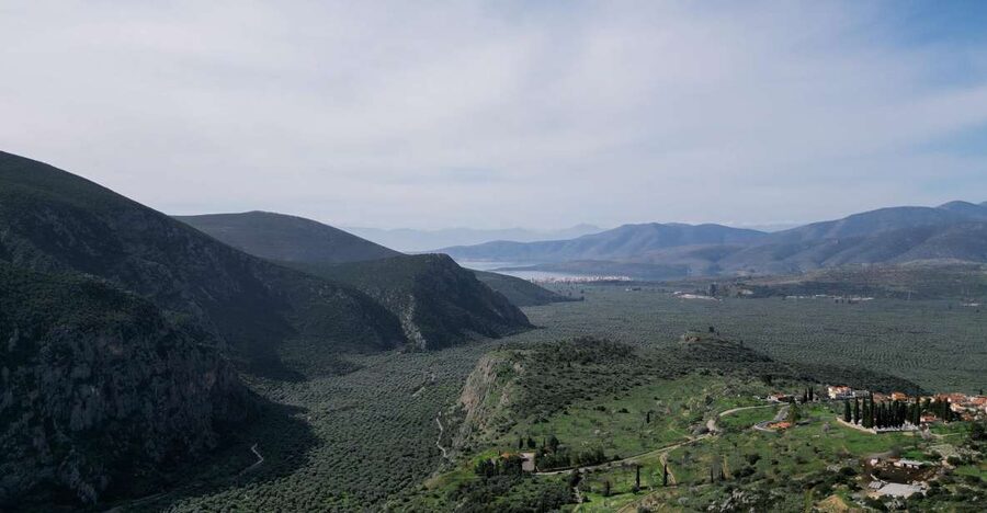Delphi: Easy Hike on Ancient Path through the Olive Groves - Key points to know before you book