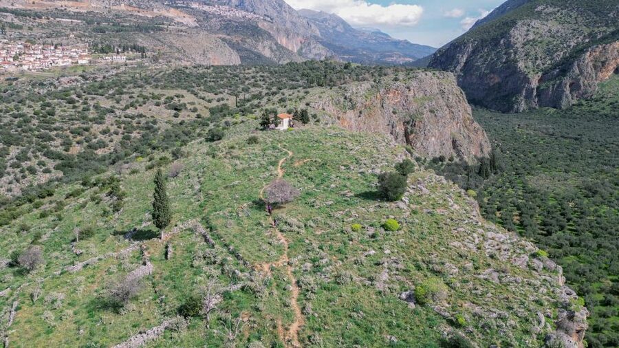 Delphi: Easy Hike on Ancient Path through the Olive Groves - From the olive groves to Chriso