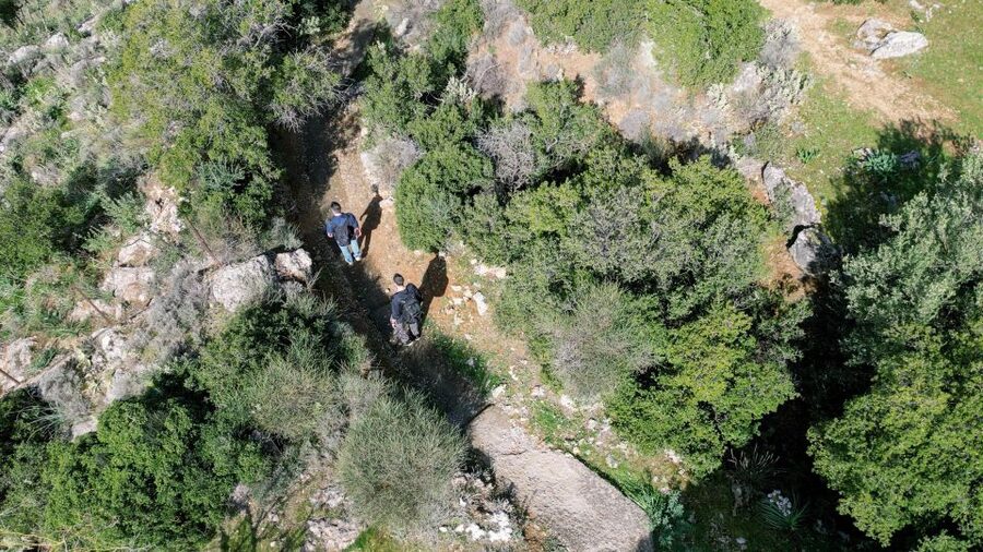 Delphi: Easy Hike on Ancient Path through the Olive Groves - Choosing the right length and time
