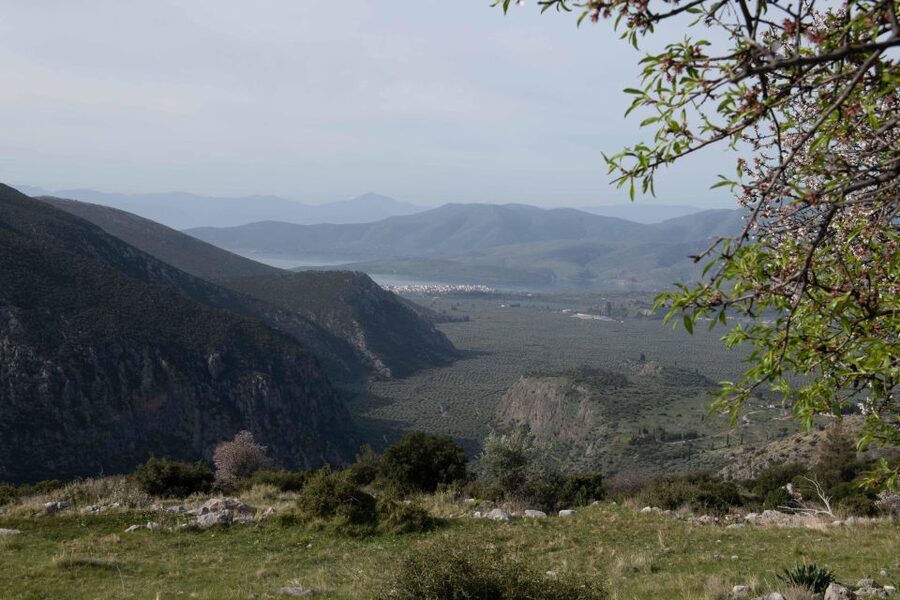 Delphi: Easy Hike on Ancient Path through the Olive Groves - Who will enjoy this Delphi outing most?