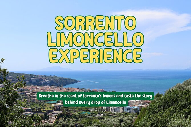 Discover Sorrento through lemons and olive trees - Key points to know before booking