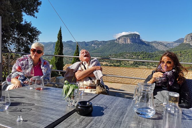 Discover the varieties of wines, olive oil and food on Mallorca - Is the $257.94 price fair?