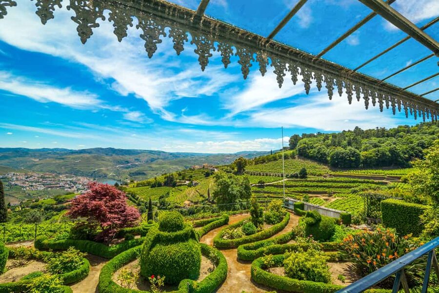 Douro Valley: A Sensory Experience in the Douro: Wines, Olive Oil, and History - Why Quinta de Santa Júlia feels different