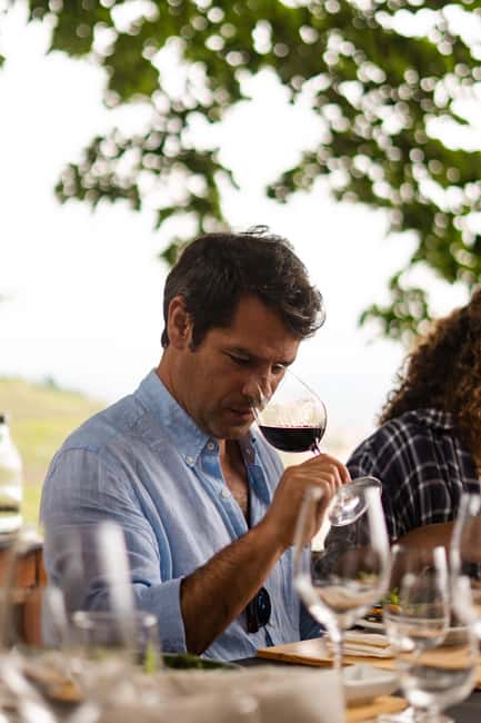 Douro Valley: A Sensory Experience in the Douro: Wines, Olive Oil, and History - Practical advice before you book