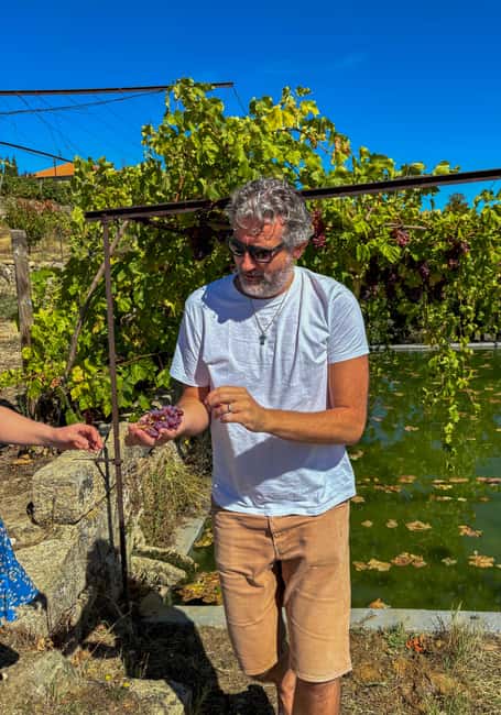 Douro Valley: Olive Oil & Wine Tour with Boat & Lunch - Who should book this experience