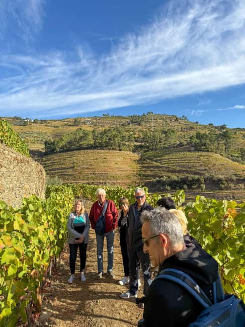 Douro Valley: Olive Oil & Wine Tour with Boat & Lunch - Pickup from Porto and the first road into the valley