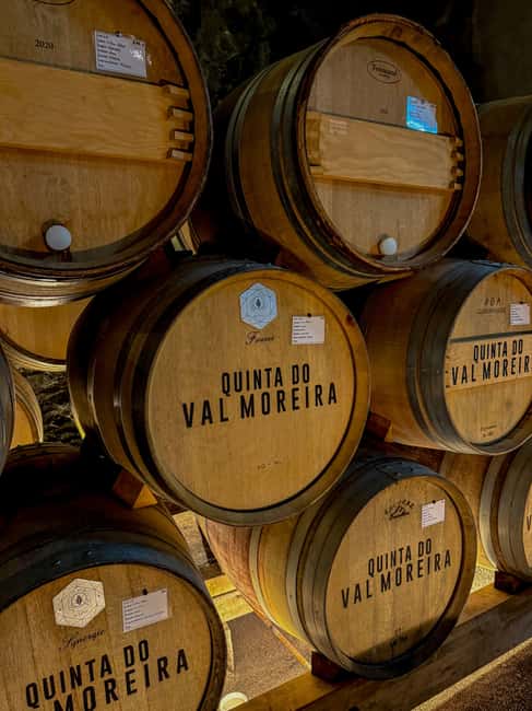 Douro Valley: Olive Oil & Wine Tour with Boat & Lunch - Small wineries and the human side of Douro wine
