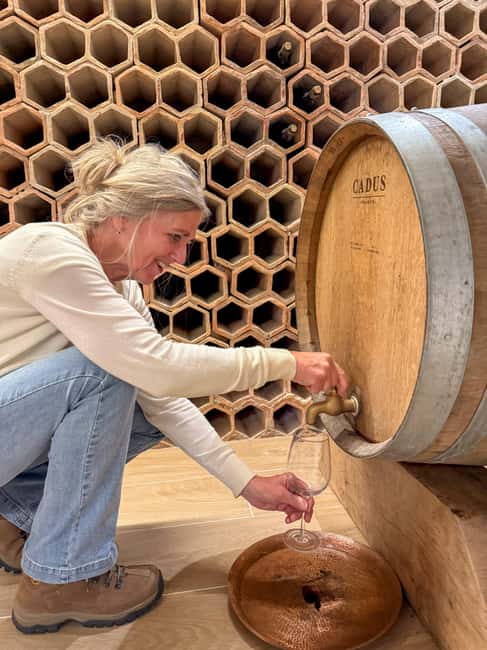 Douro Valley: Olive Oil & Wine Tour with Boat & Lunch - Lunch at an 18th-century quinta with Aunt Minda