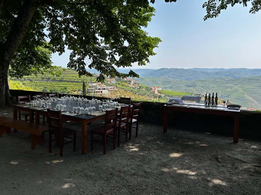 Douro Valley: Private Lunch with Wine & Olive Oil Tasting - Free time after lunch