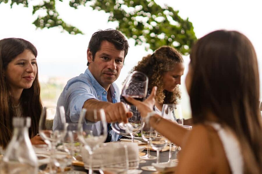 Douro Valley: Private Tour & Guided Wine & Olive Oil Tasting - Practical details before you reserve