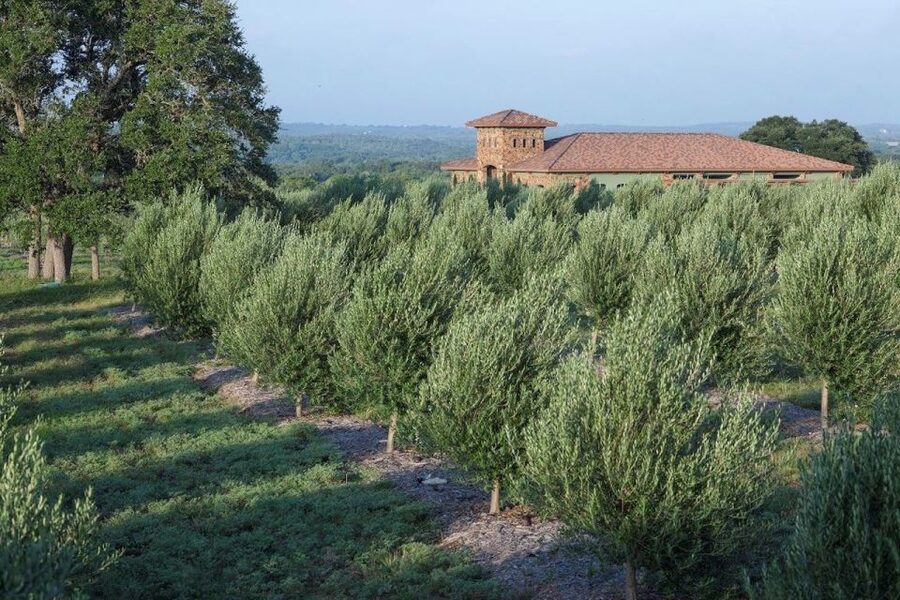 Dripping Springs: Olive Oil and Balsamic Vinegar Tasting - Who will get the most from this tasting