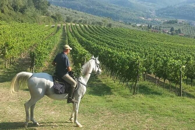 E-bike 2.5 hour Florence & Tuscany With Fresh Olive Oil and Bread - San Miniato al Monte and the city below