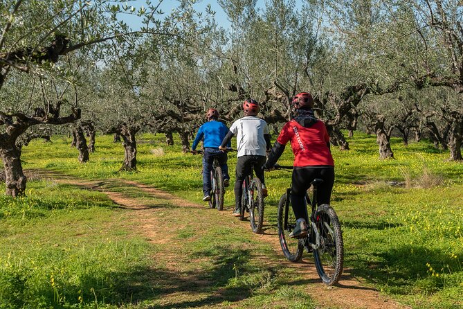 E-Bike Kalamata Olive Routes - From Kalamata’s center into the olive grove