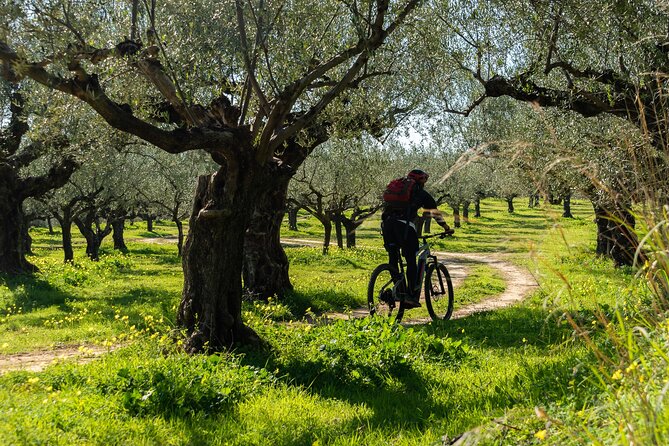 E-Bike Kalamata Olive Routes - Is $98.30 a fair price?
