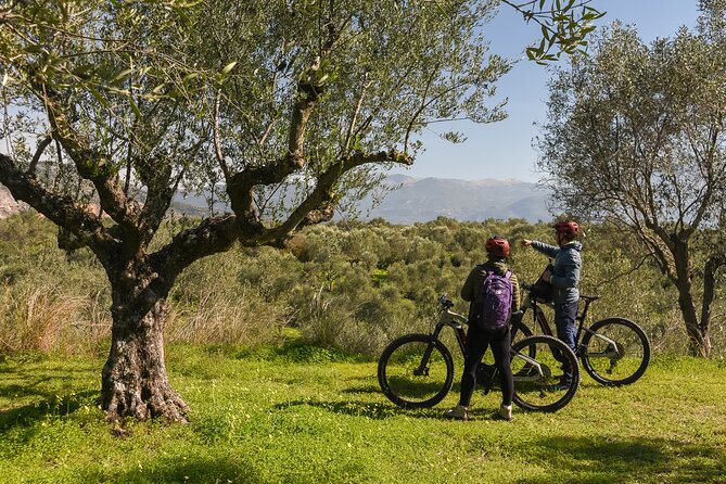 E-Bike Kalamata Olive Routes - Weather, cancellation, and practical details