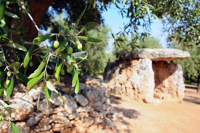 E-bike tour in Ostuni. Oil mill, Dolmen and huge olive trees - What the e-bike rental includes
